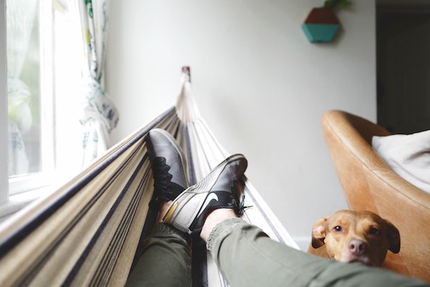 a person laying in a hammock with a dog resting its head on the person’s leg